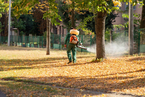 Best Mosquito Control Services  in USA